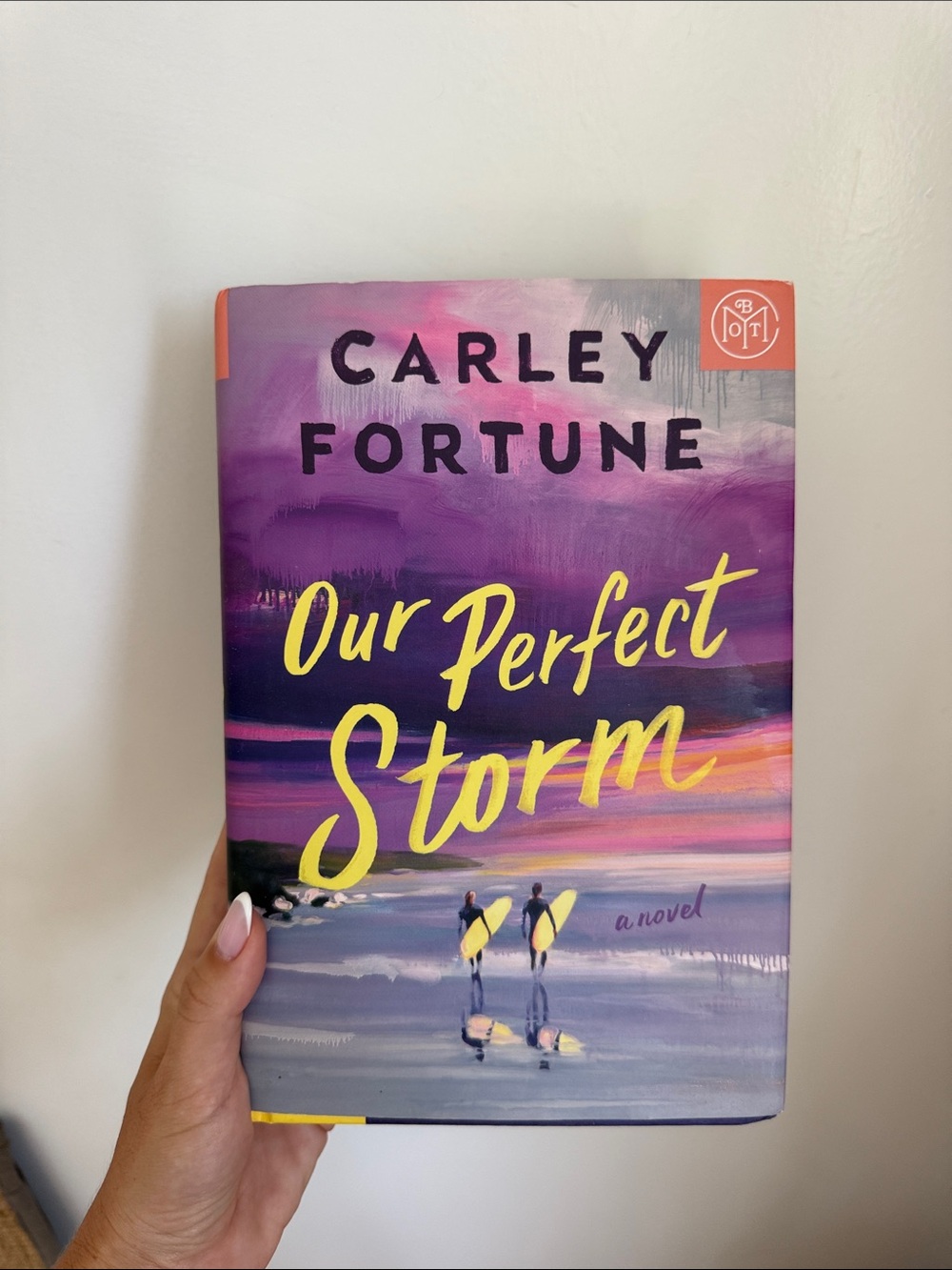 Our Perfect Storm — Purple Hardcover Novel